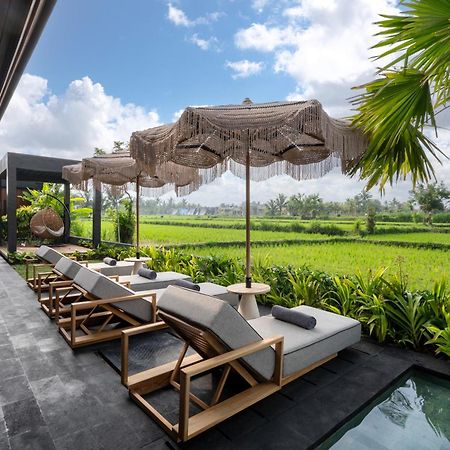 Villa Black Pearl By Balisuperhost Ubud Esterno foto